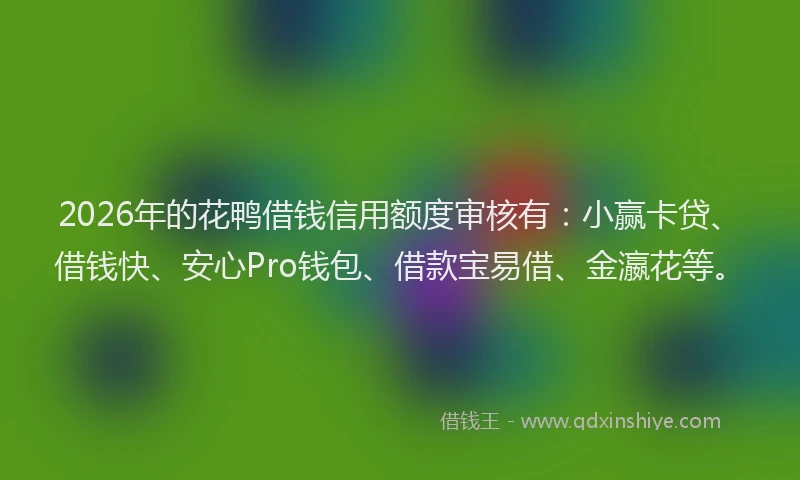 2026年的花鸭借钱信用额度审核有：小赢卡贷、借钱快、安心Pro钱包、借款宝易借、金瀛花等。