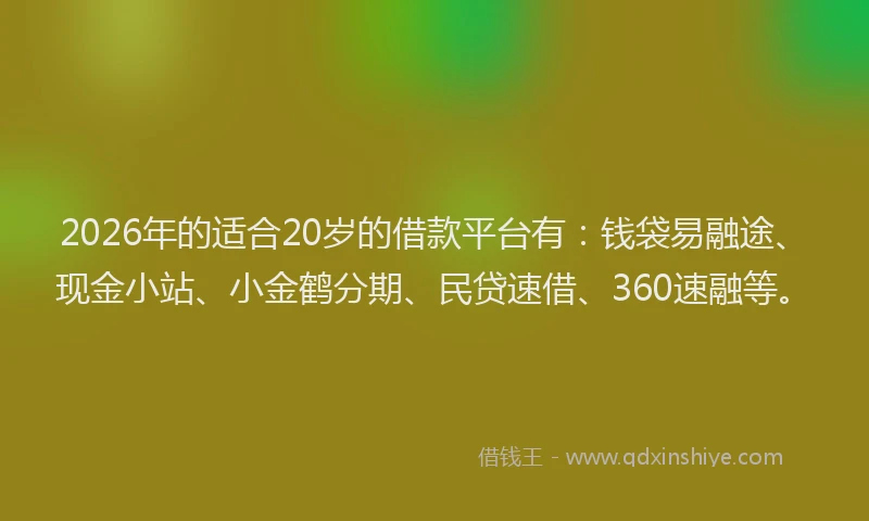 2026年的适合20岁的借款平台有：钱袋易融途、现金小站、小金鹤分期、民贷速借、360速融等。