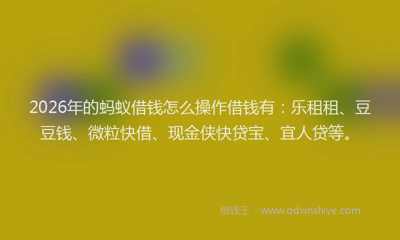 2026年的蚂蚁借钱怎么操作借钱有：乐租租、豆豆钱、微粒快借、现金侠快贷宝、宜人贷等。