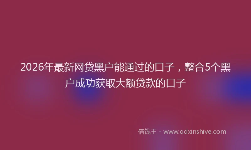 2026年最新网贷黑户能通过的口子，整合5个黑户成功获取大额贷款的口子