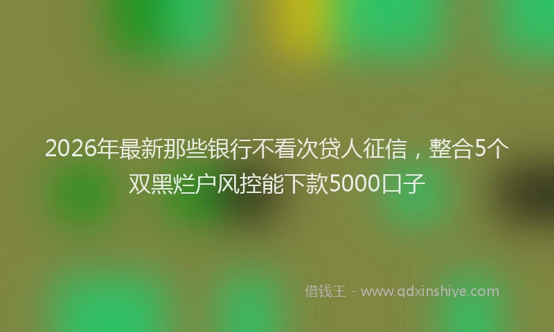 2026年最新那些银行不看次贷人征信，整合5个双黑烂户风控能下款5000口子