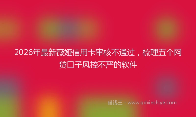 2026年最新薇娅信用卡审核不通过，梳理五个网贷口子风控不严的软件