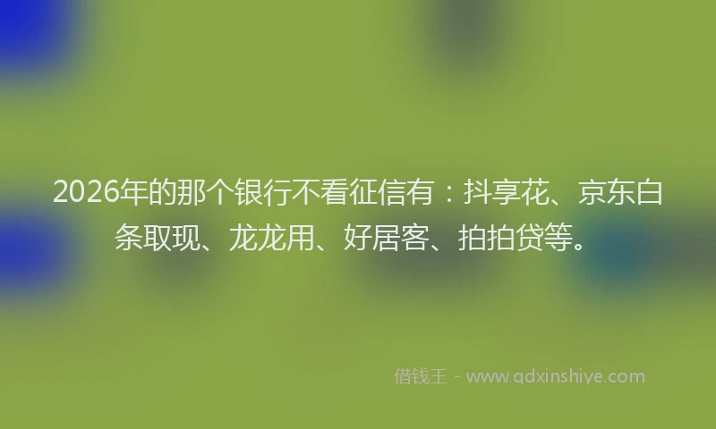 2026年的那个银行不看征信有：抖享花、京东白条取现、龙龙用、好居客、拍拍贷等。