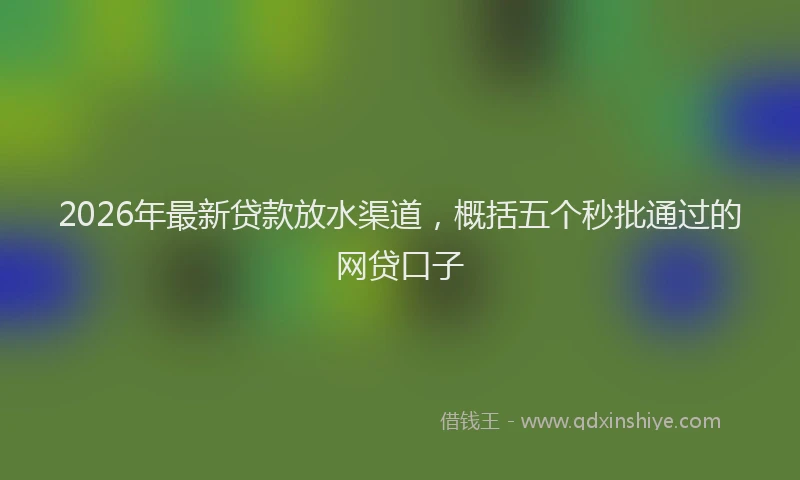 2026年最新贷款放水渠道，概括五个秒批通过的网贷口子