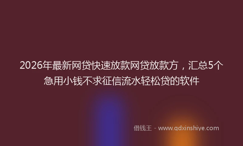 2026年最新网贷快速放款网贷放款方，汇总5个急用小钱不求征信流水轻松贷的软件