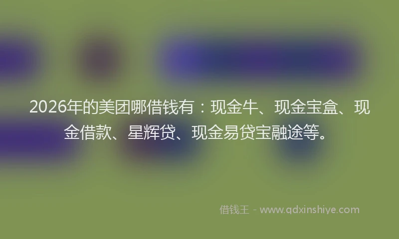 2026年的美团哪借钱有：现金牛、现金宝盒、现金借款、星辉贷、现金易贷宝融途等。