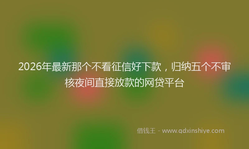 2026年最新那个不看征信好下款，归纳五个不审核夜间直接放款的网贷平台