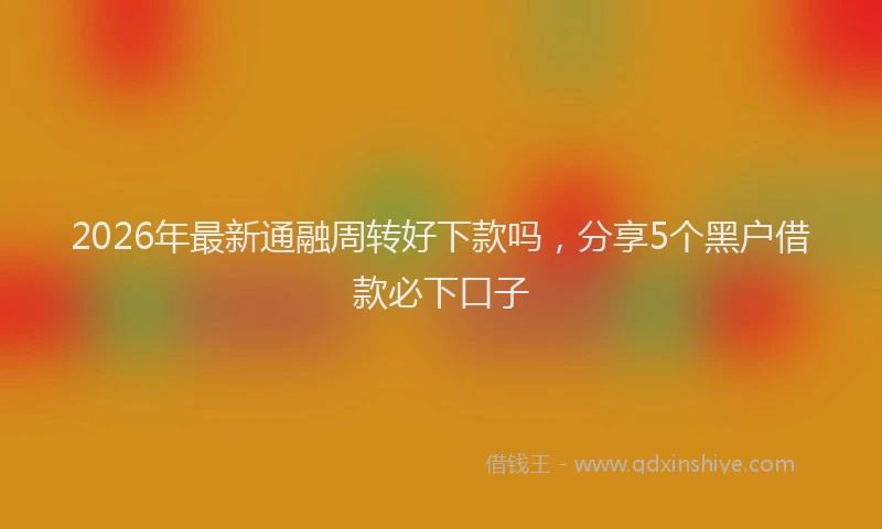 2026年最新通融周转好下款吗，分享5个黑户借款必下口子