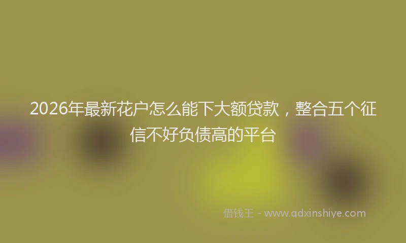 2026年最新花户怎么能下大额贷款，整合五个征信不好负债高的平台