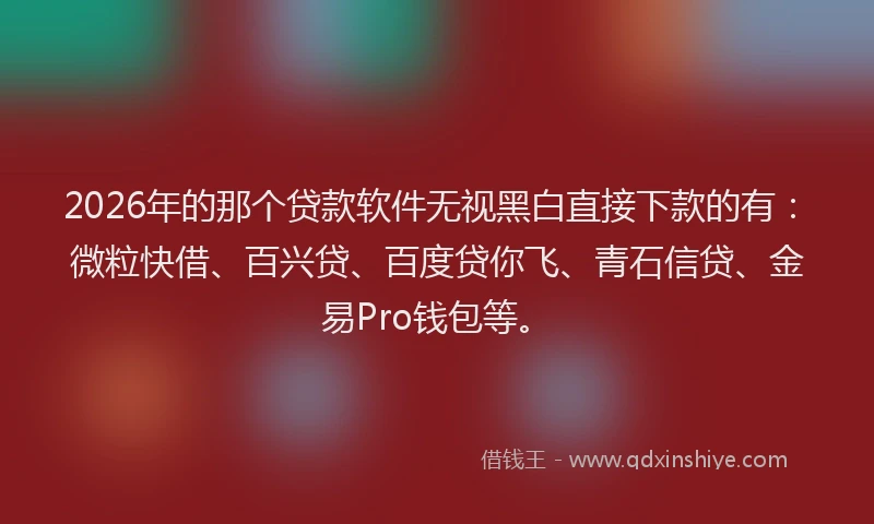 2026年的那个贷款软件无视黑白直接下款的有：微粒快借、百兴贷、百度贷你飞、青石信贷、金易Pro钱包等。