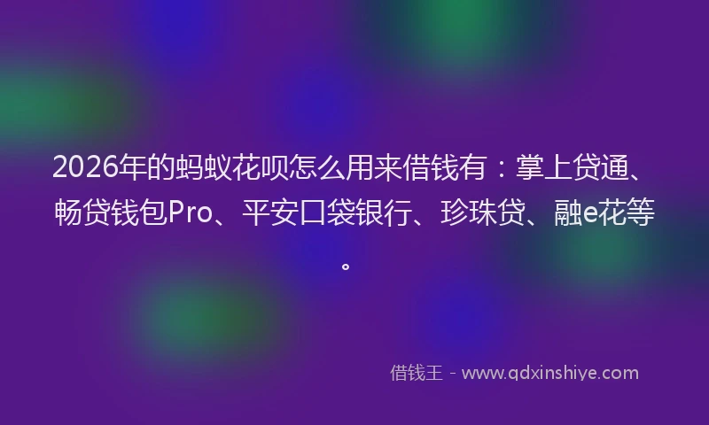 2026年的蚂蚁花呗怎么用来借钱有：掌上贷通、畅贷钱包Pro、平安口袋银行、珍珠贷、融e花等。