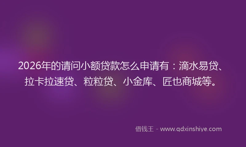 2026年的请问小额贷款怎么申请有：滴水易贷、拉卡拉速贷、粒粒贷、小金库、匠也商城等。