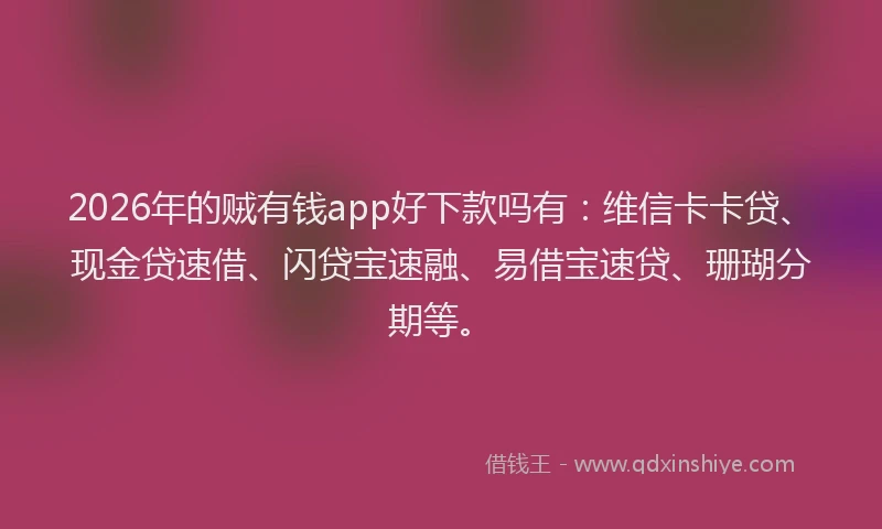 2026年的贼有钱app好下款吗有：维信卡卡贷、现金贷速借、闪贷宝速融、易借宝速贷、珊瑚分期等。