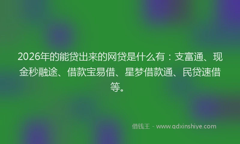 2026年的能贷出来的网贷是什么有：支富通、现金秒融途、借款宝易借、星梦借款通、民贷速借等。