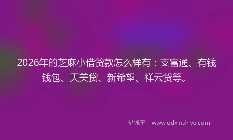 2026年的芝麻小借贷款怎么样有：支富通、有钱钱包、天美贷、新希望、祥云贷等。