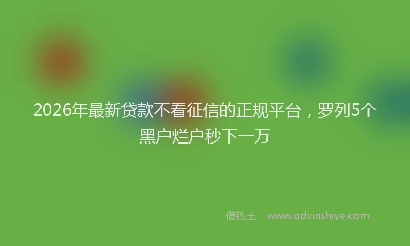 2026年最新贷款不看征信的正规平台，罗列5个黑户烂户秒下一万