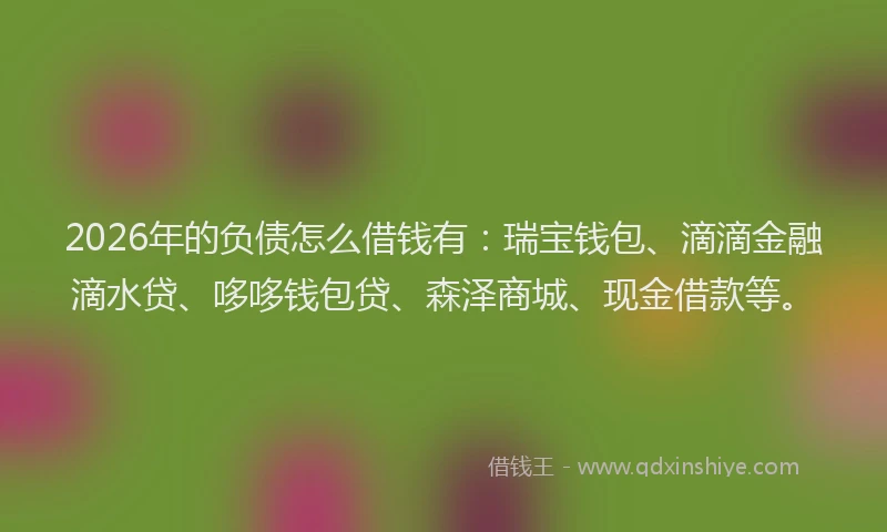 2026年的负债怎么借钱有：瑞宝钱包、滴滴金融滴水贷、哆哆钱包贷、森泽商城、现金借款等。