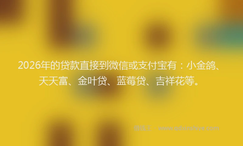 2026年的贷款直接到微信或支付宝有：小金鸽、天天富、金叶贷、蓝莓贷、吉祥花等。