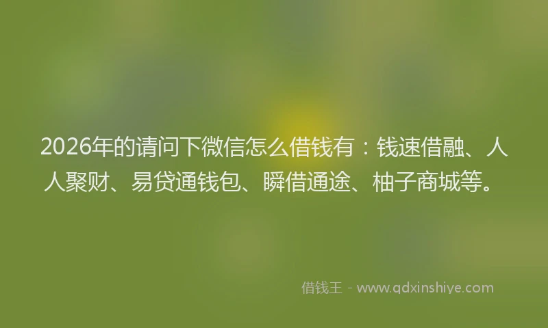 2026年的请问下微信怎么借钱有：钱速借融、人人聚财、易贷通钱包、瞬借通途、柚子商城等。