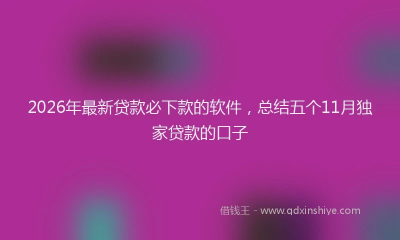 2026年最新贷款必下款的软件，总结五个11月独家贷款的口子