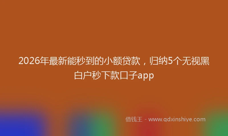 2026年最新能秒到的小额贷款，归纳5个无视黑白户秒下款口子app