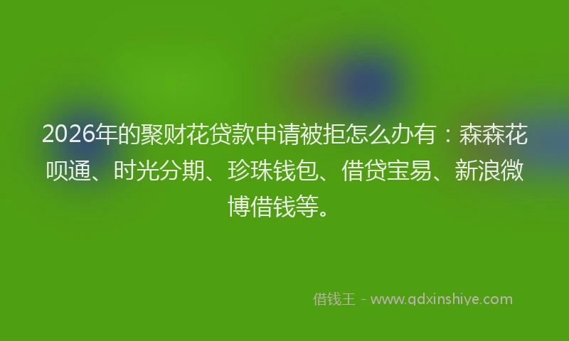 2026年的聚财花贷款申请被拒怎么办有：森森花呗通、时光分期、珍珠钱包、借贷宝易、新浪微博借钱等。