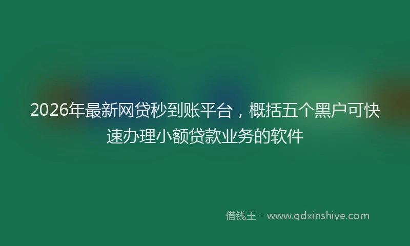 2026年最新网贷秒到账平台，概括五个黑户可快速办理小额贷款业务的软件