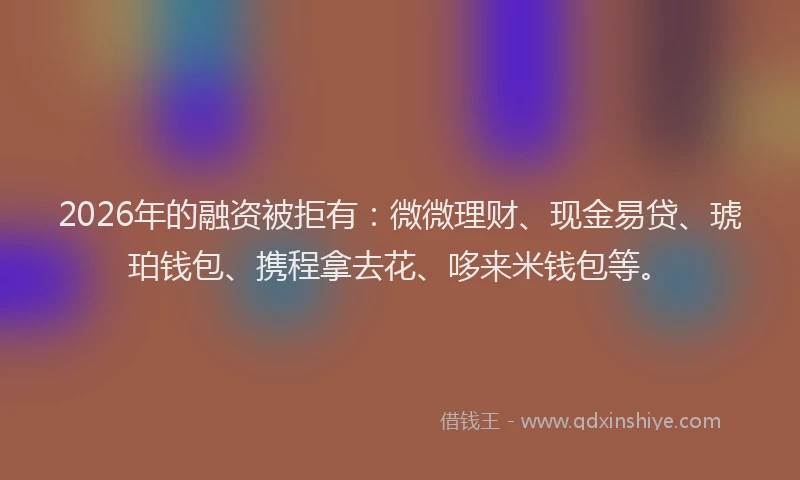 2026年的融资被拒有：微微理财、现金易贷、琥珀钱包、携程拿去花、哆来米钱包等。