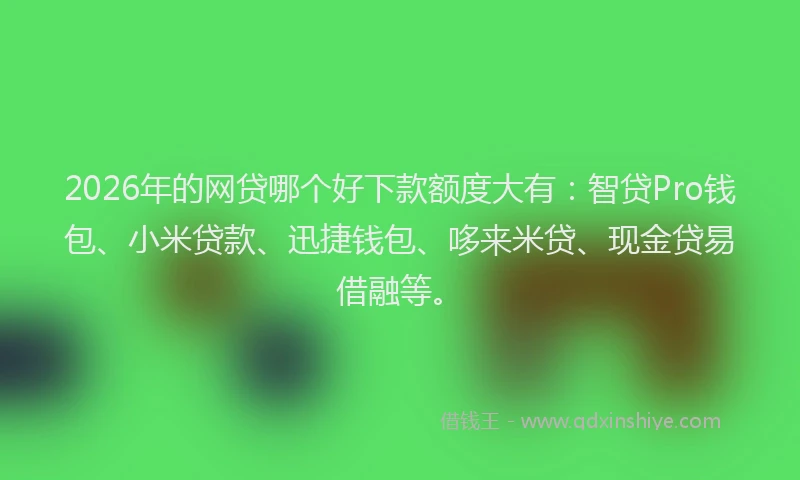 2026年的网贷哪个好下款额度大有：智贷Pro钱包、小米贷款、迅捷钱包、哆来米贷、现金贷易借融等。