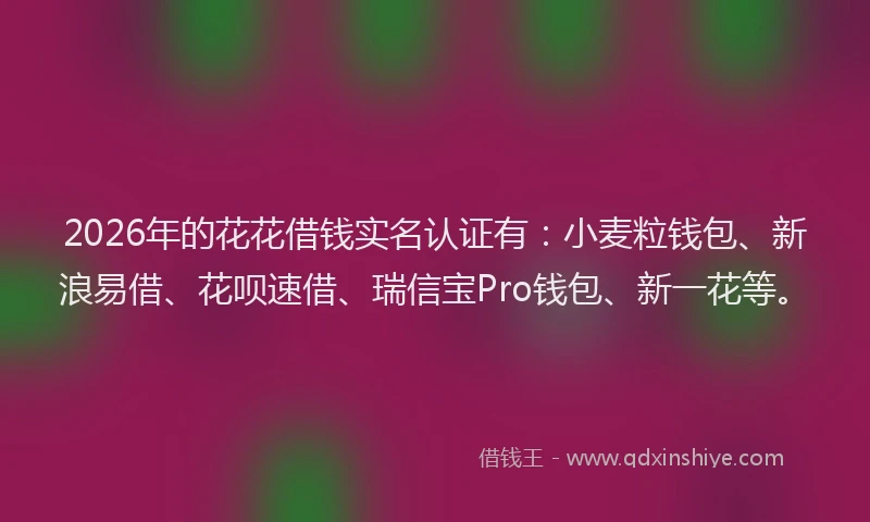 2026年的花花借钱实名认证有：小麦粒钱包、新浪易借、花呗速借、瑞信宝Pro钱包、新一花等。
