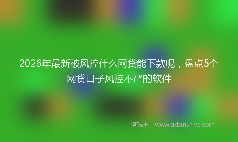 2026年最新被风控什么网贷能下款呢，盘点5个网贷口子风控不严的软件