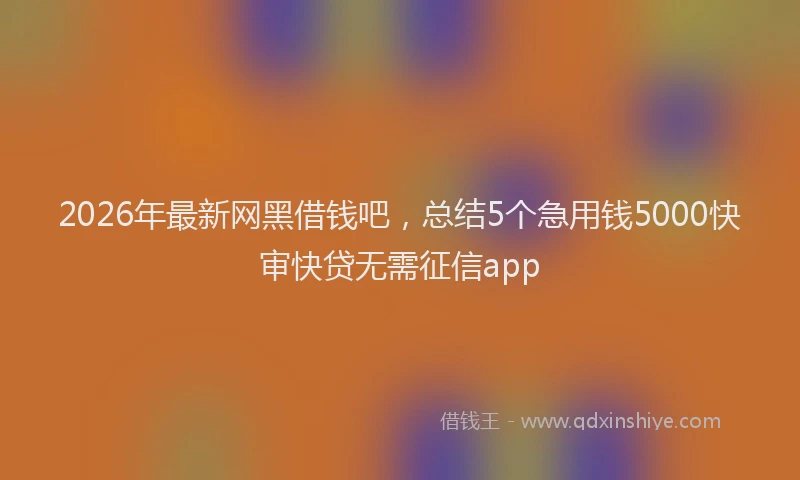 2026年最新网黑借钱吧，总结5个急用钱5000快审快贷无需征信app