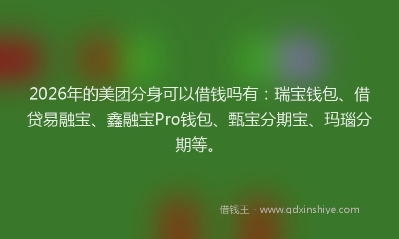 2026年的美团分身可以借钱吗有：瑞宝钱包、借贷易融宝、鑫融宝Pro钱包、甄宝分期宝、玛瑙分期等。