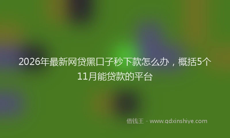 2026年最新网贷黑口子秒下款怎么办，概括5个11月能贷款的平台