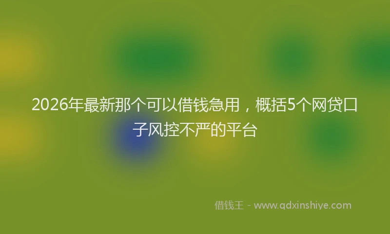 2026年最新那个可以借钱急用，概括5个网贷口子风控不严的平台