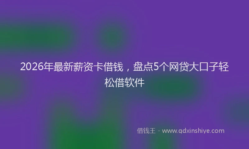 2026年最新薪资卡借钱，盘点5个网贷大口子轻松借软件