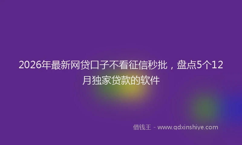 2026年最新网贷口子不看征信秒批，盘点5个12月独家贷款的软件