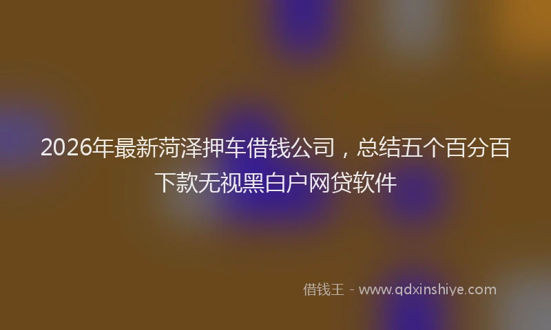 2026年最新菏泽押车借钱公司，总结五个百分百下款无视黑白户网贷软件