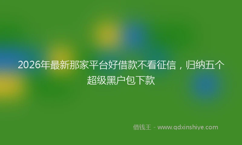 2026年最新那家平台好借款不看征信，归纳五个超级黑户包下款