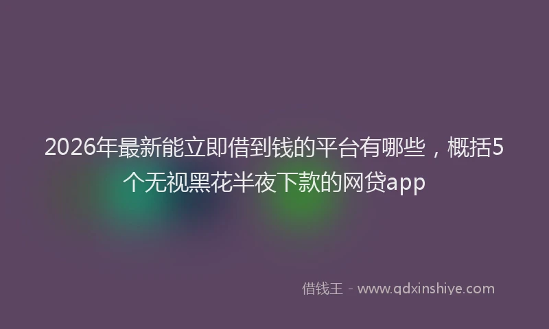 2026年最新能立即借到钱的平台有哪些，概括5个无视黑花半夜下款的网贷app