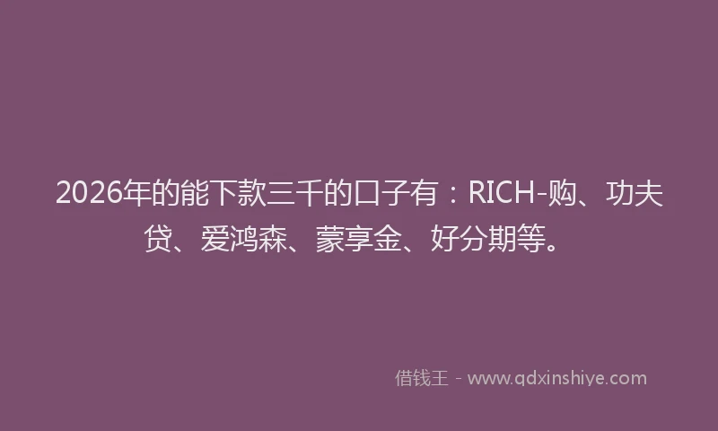 2026年的能下款三千的口子有：RICH-购、功夫贷、爱鸿森、蒙享金、好分期等。