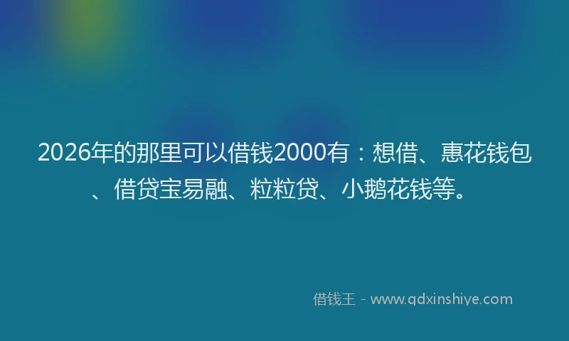 2026年的那里可以借钱2000有：想借、惠花钱包、借贷宝易融、粒粒贷、小鹅花钱等。