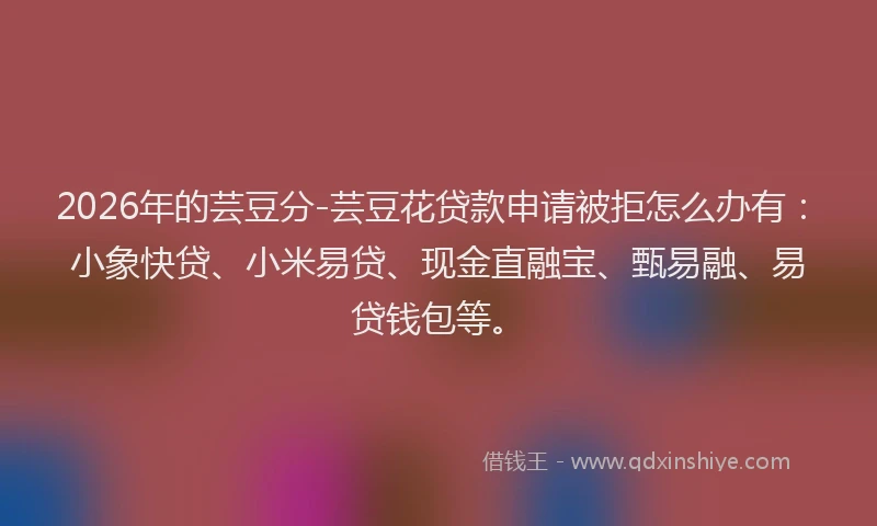 2026年的芸豆分-芸豆花贷款申请被拒怎么办有：小象快贷、小米易贷、现金直融宝、甄易融、易贷钱包等。