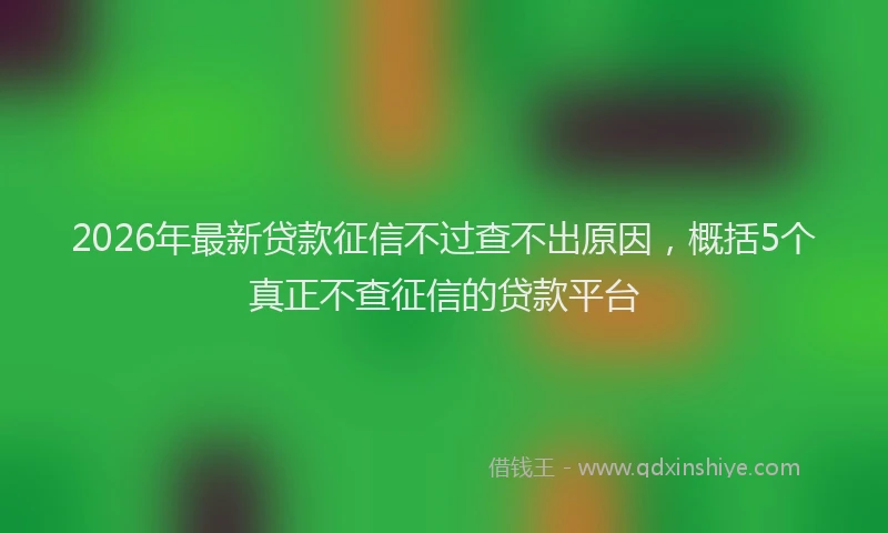 2026年最新贷款征信不过查不出原因，概括5个真正不查征信的贷款平台