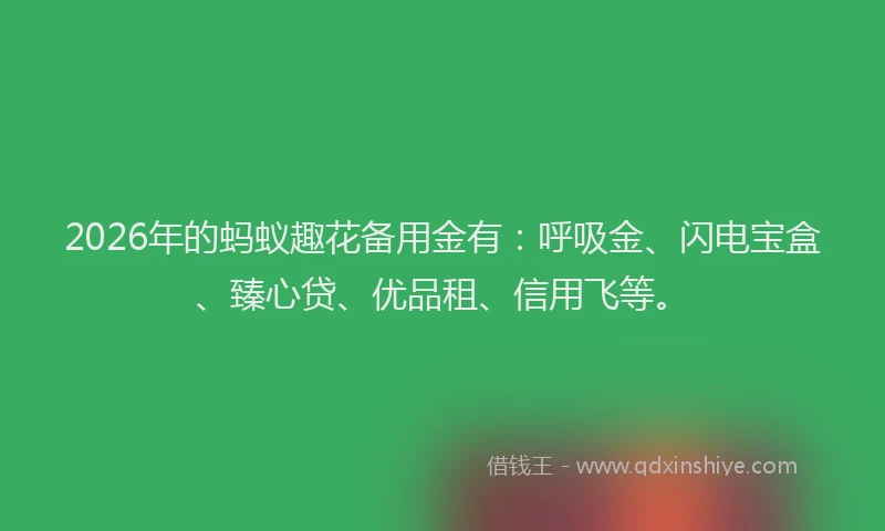 2026年的蚂蚁趣花备用金有：呼吸金、闪电宝盒、臻心贷、优品租、信用飞等。