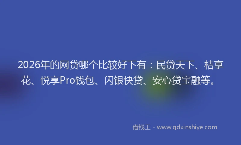 2026年的网贷哪个比较好下有：民贷天下、桔享花、悦享Pro钱包、闪银快贷、安心贷宝融等。
