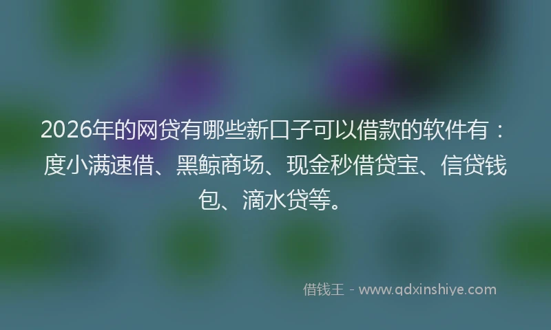 2026年的网贷有哪些新口子可以借款的软件有：度小满速借、黑鲸商场、现金秒借贷宝、信贷钱包、滴水贷等。