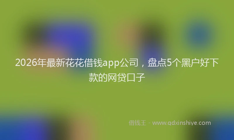 2026年最新花花借钱app公司，盘点5个黑户好下款的网贷口子