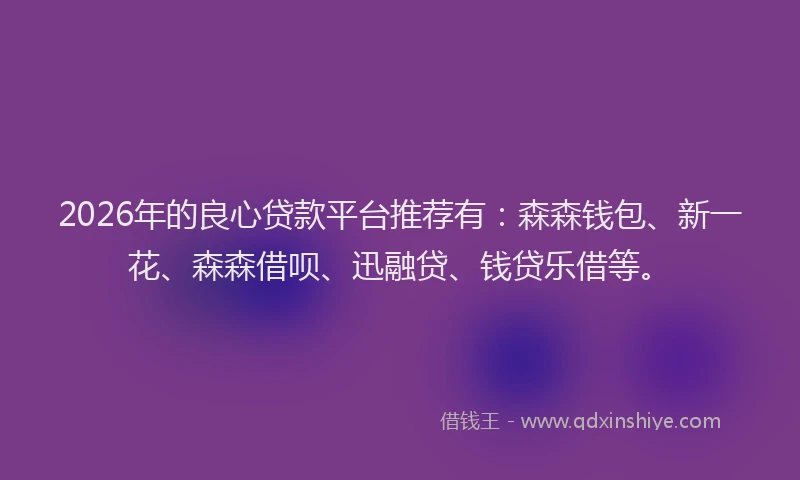 2026年的良心贷款平台推荐有：森森钱包、新一花、森森借呗、迅融贷、钱贷乐借等。
