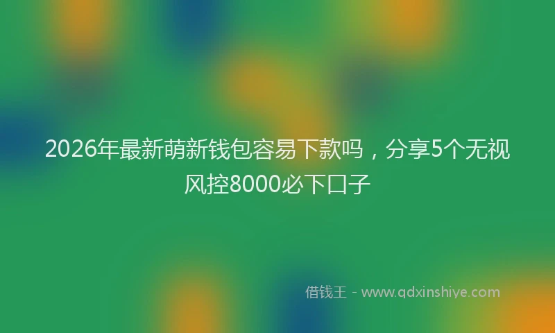 2026年最新萌新钱包容易下款吗，分享5个无视风控8000必下口子